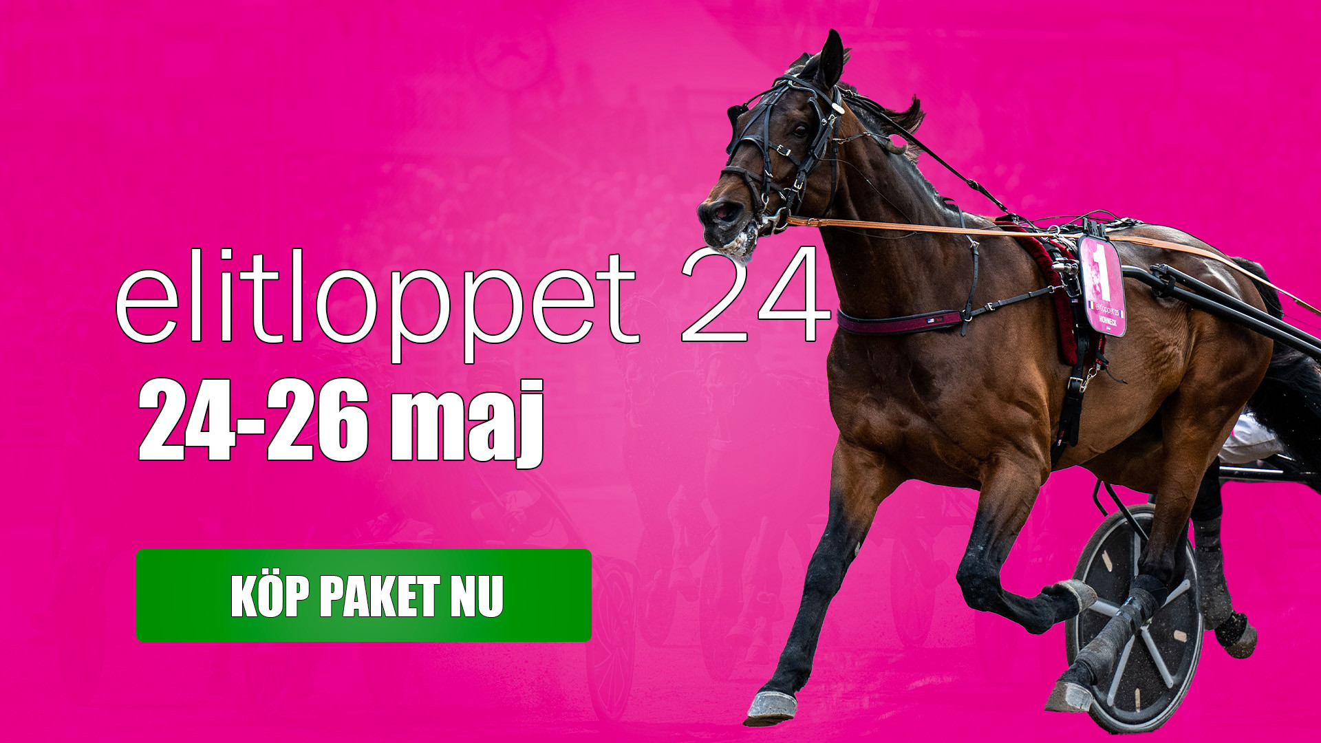 Missa inte vårt Elitloppspaket De Luxe med tips till ALLA lopp hela helgen